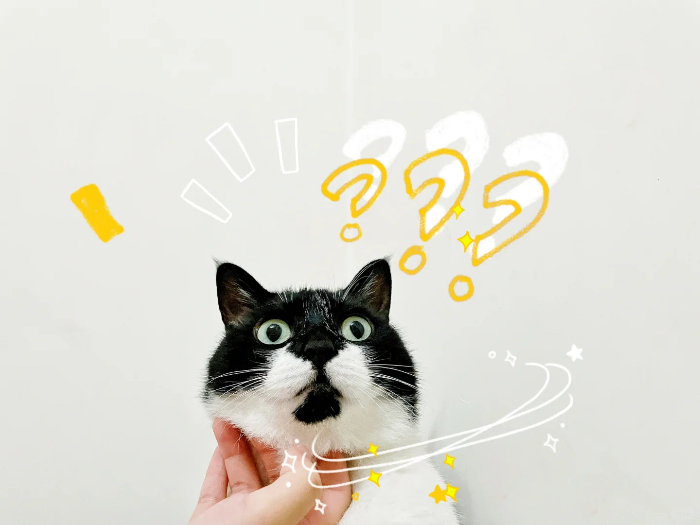 发森神马啦？