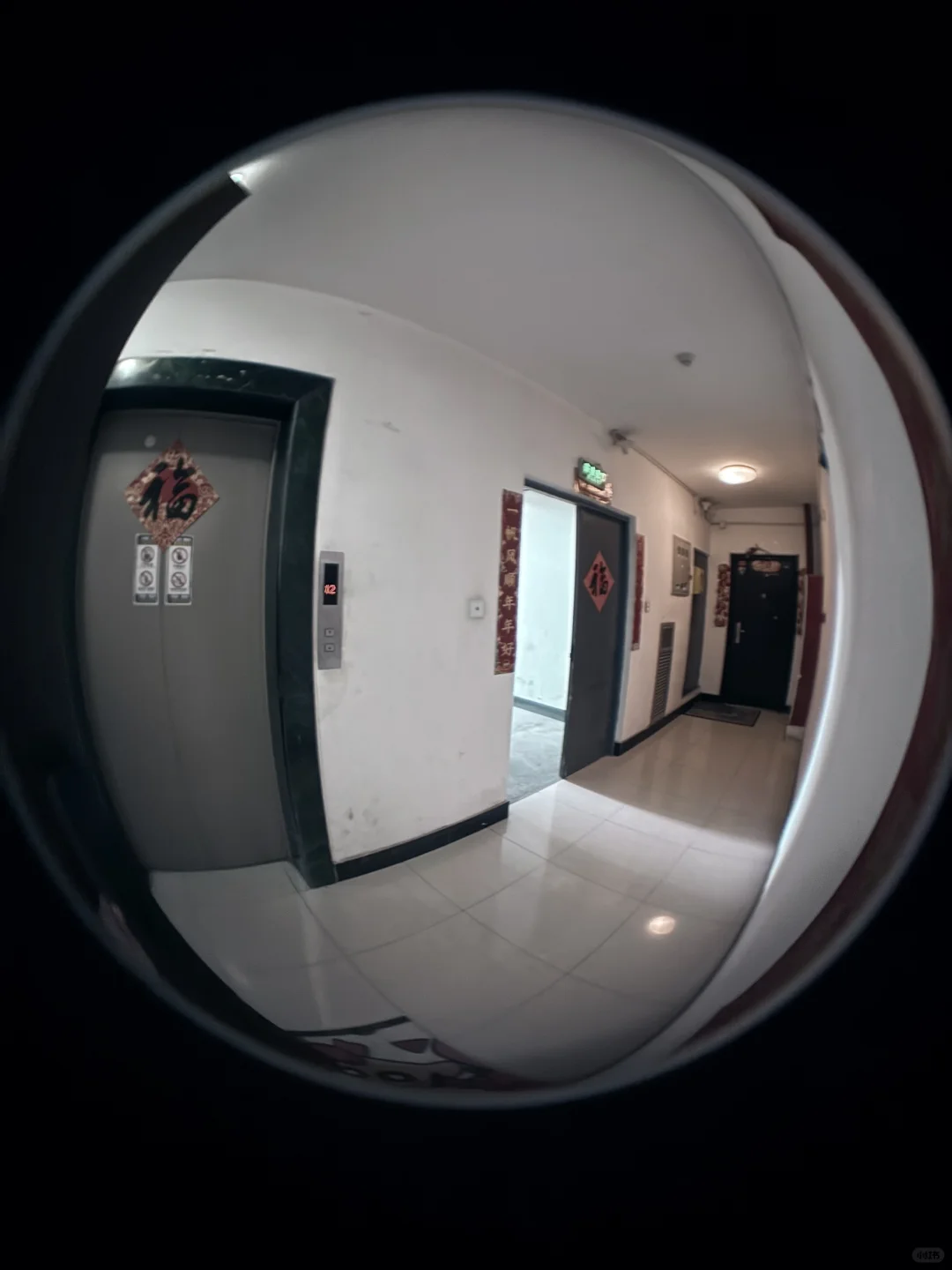 鱼眼透视场景参考