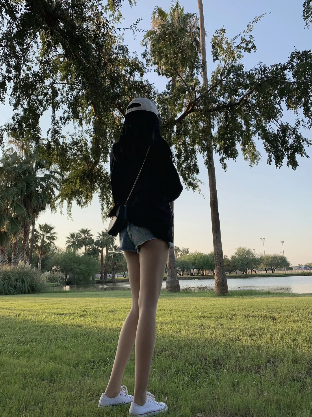 朋友圈吃不到的细糠给红薯们吃