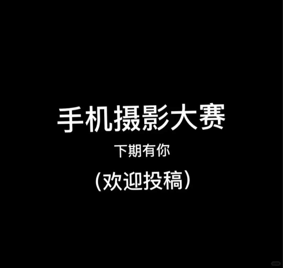 照片投稿大赛！