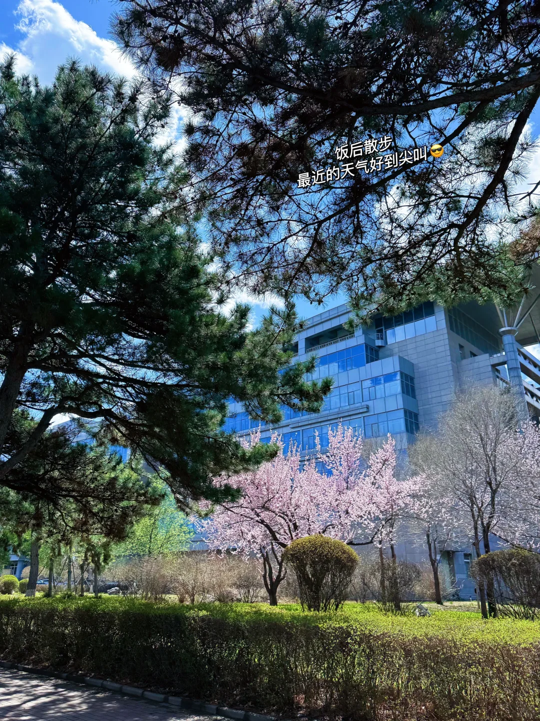 看展日常🖼️ 春夏来点小清新💙
