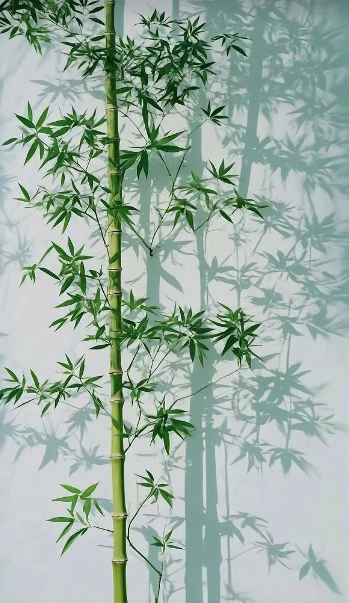 “一半风月，一半相思”