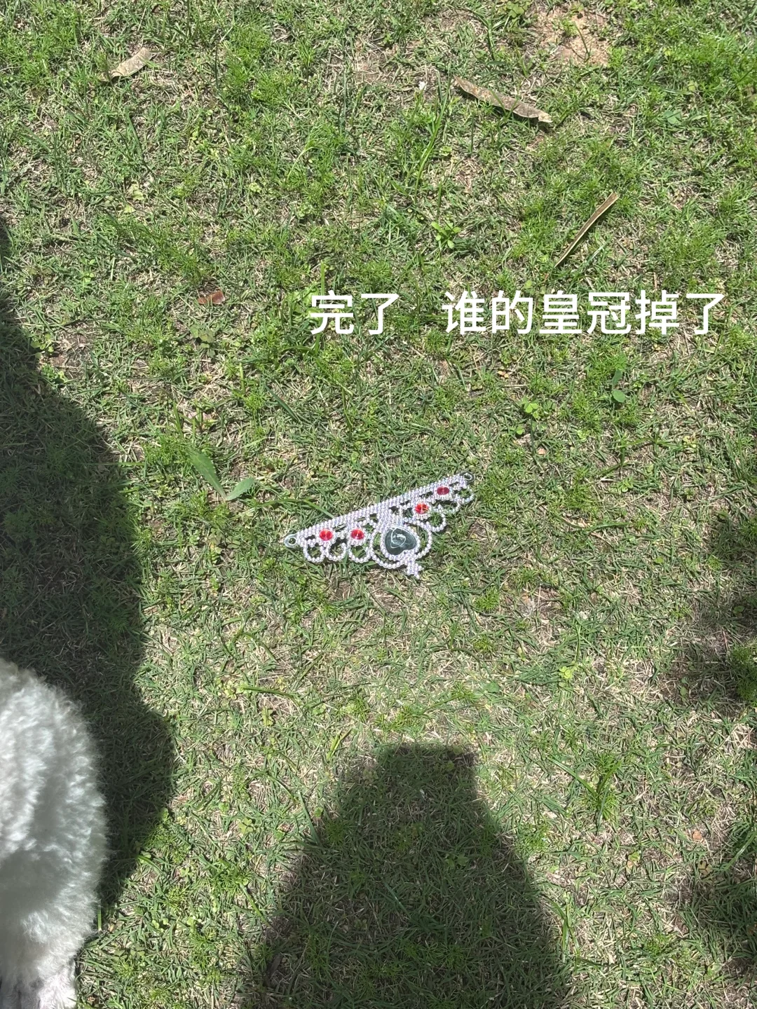 碎嘴子健身女的日常