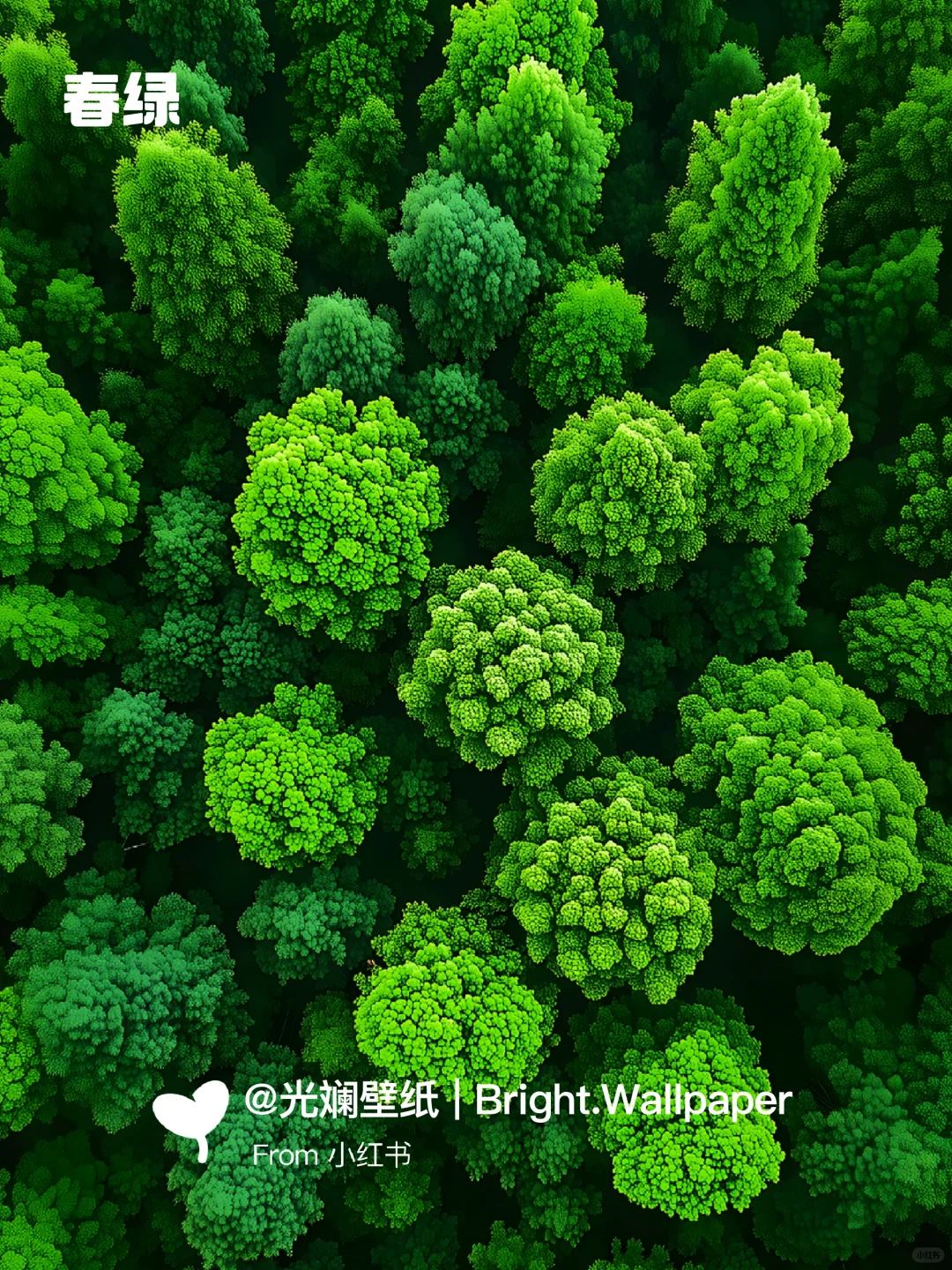 没什么坏心情是这片绿色拯救不了的