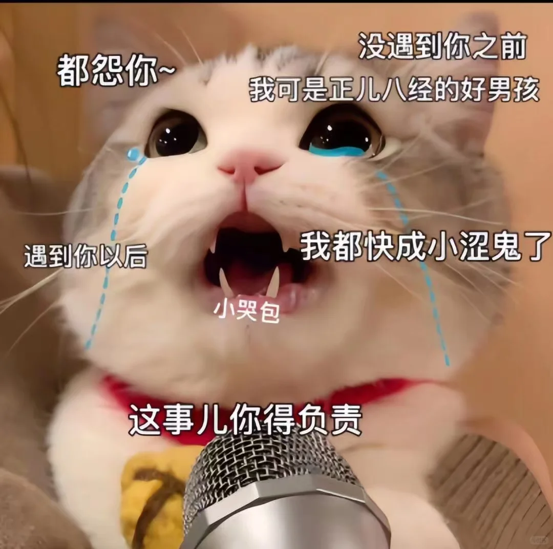 可可爱爱的表情包