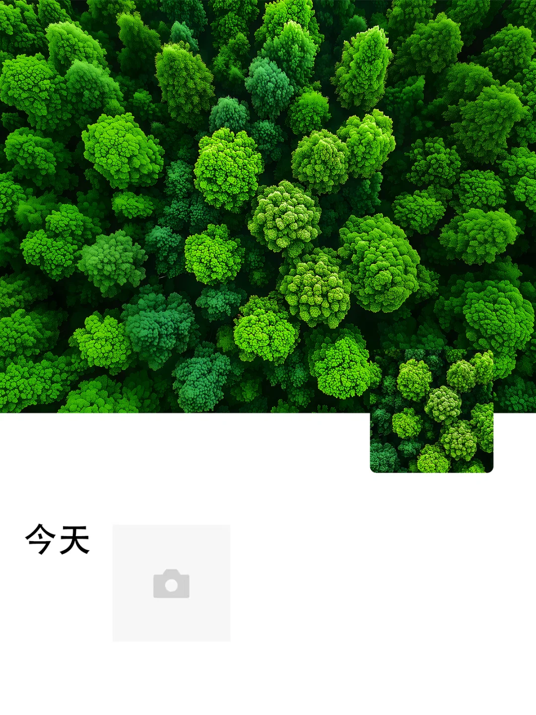 没什么坏心情是这片绿色拯救不了的