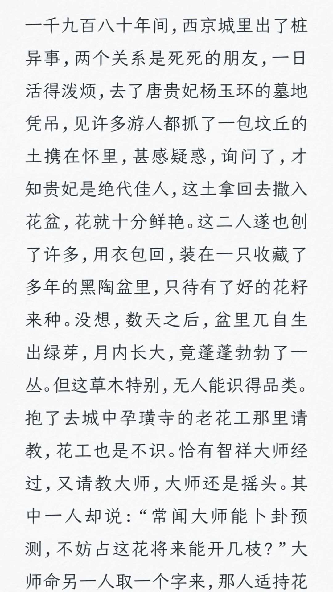 废都-滚滚红尘里的风流故事是命运还是选择