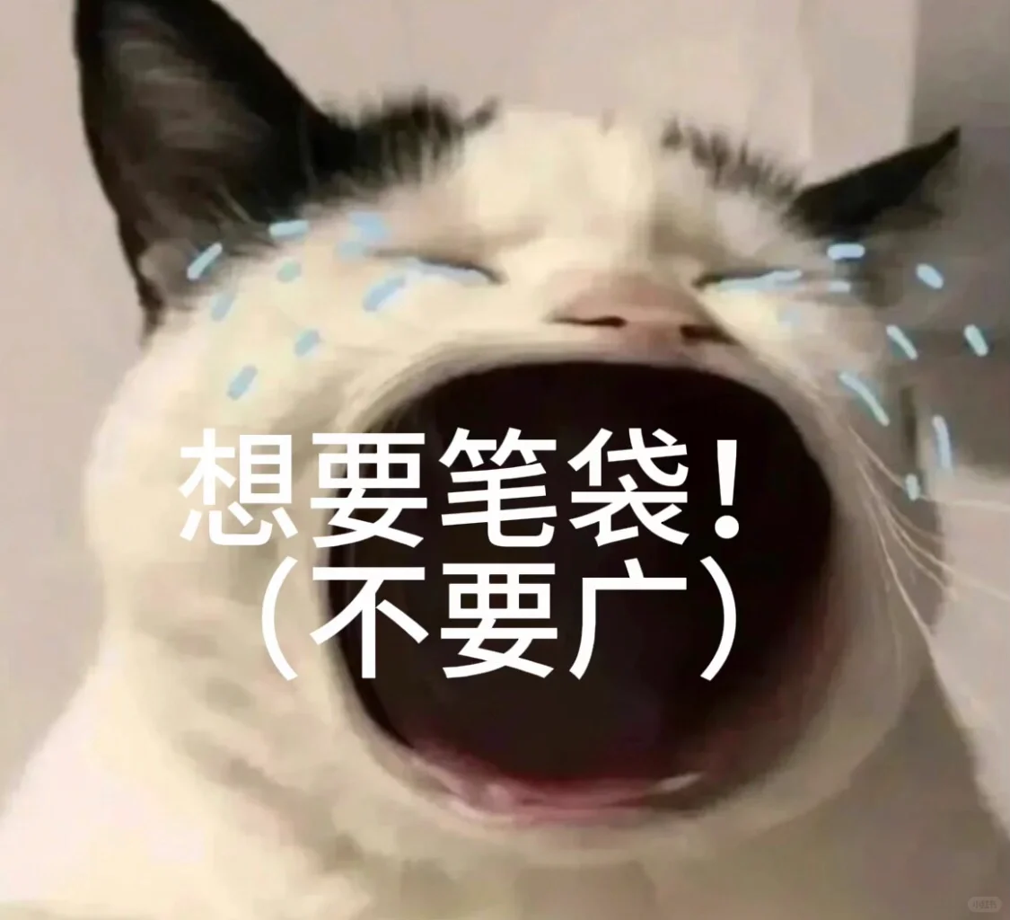 女高中生，想要一个新颖的笔袋😢