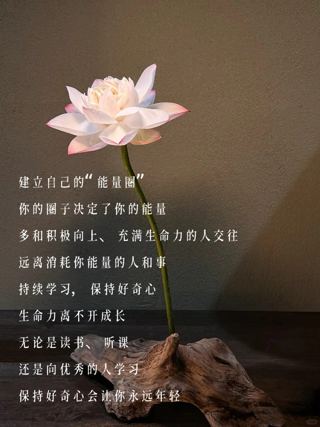 “你向上的生命力 比漂亮更能打动人”