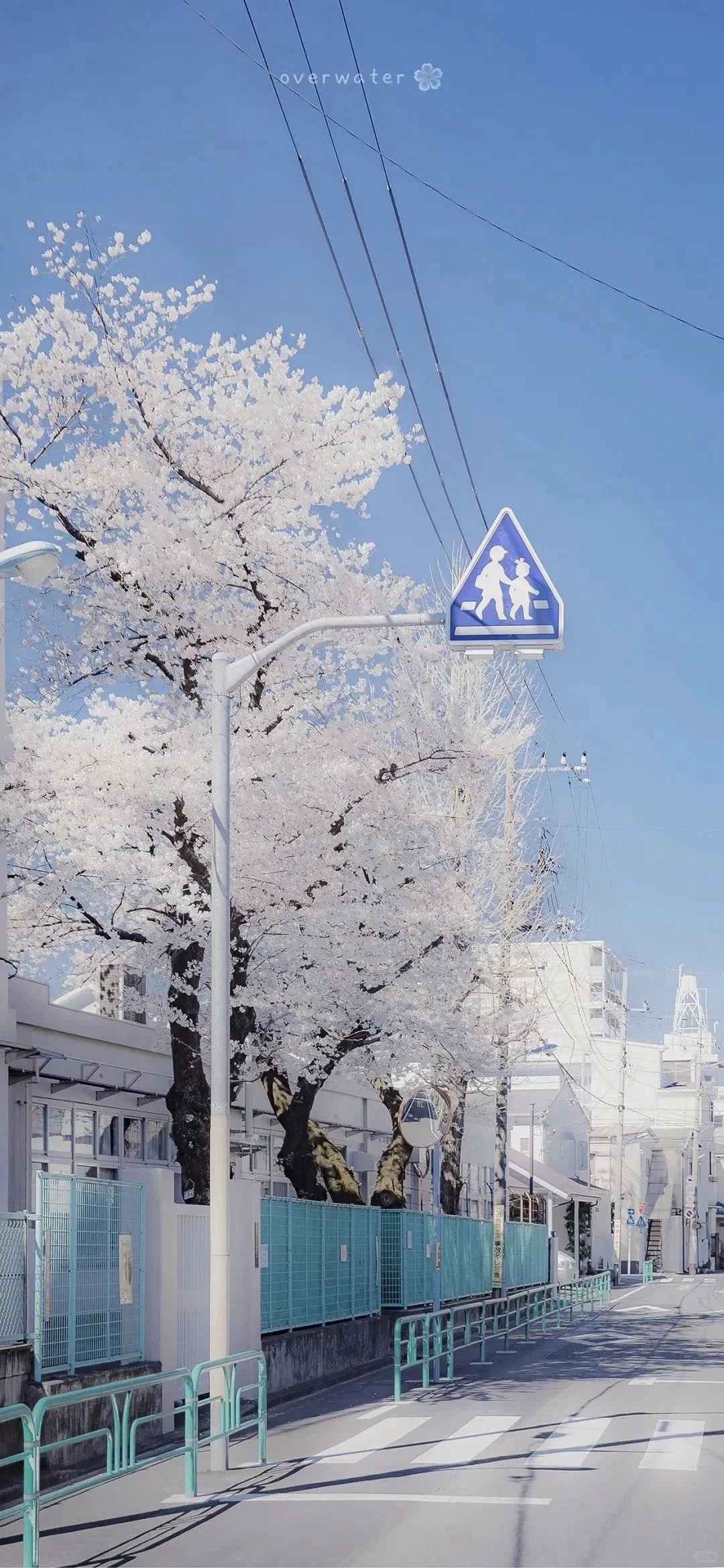 Happy Snow!蓝色系壁纸背景