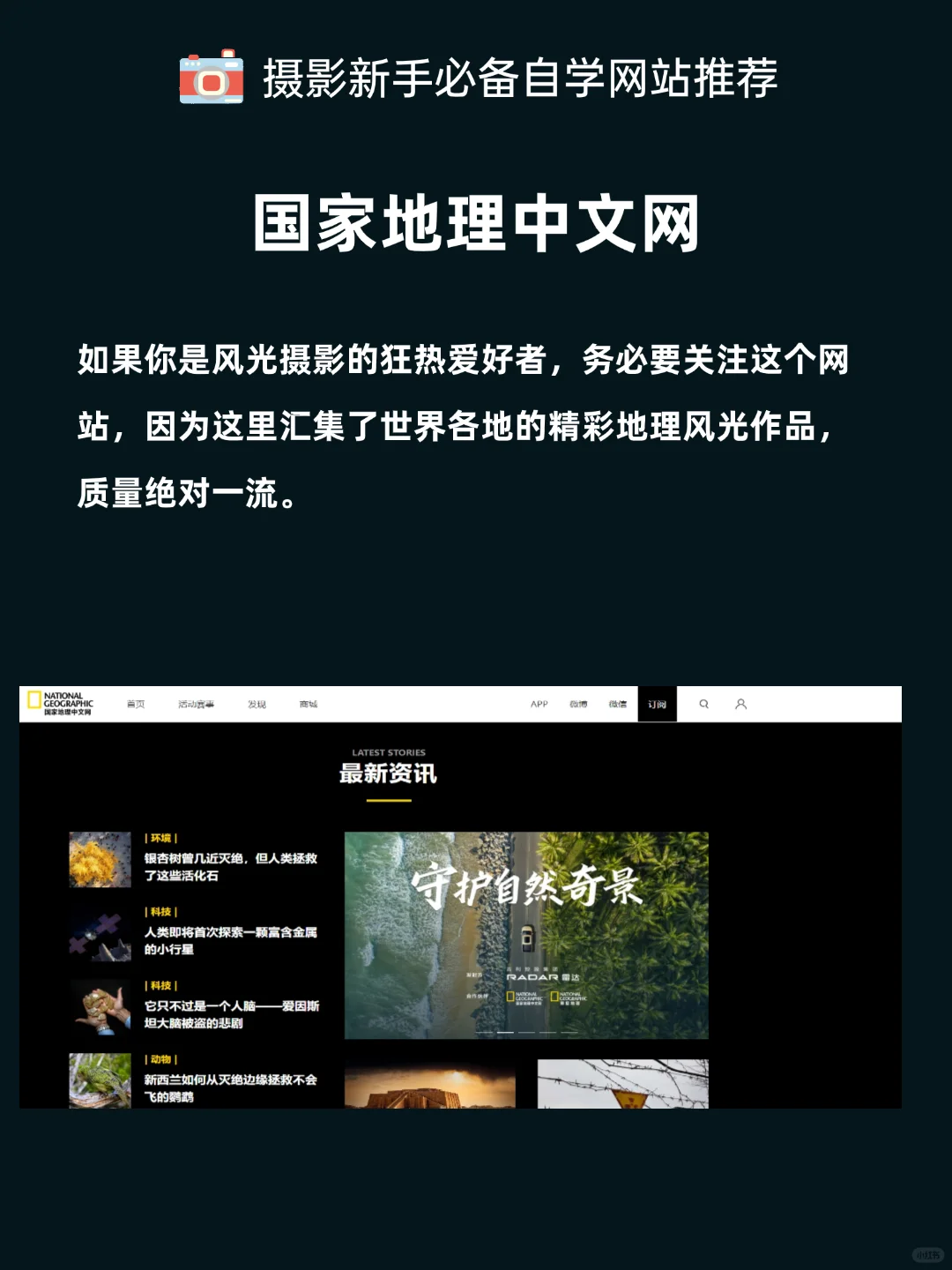 提升审美的10个顶级摄影网站