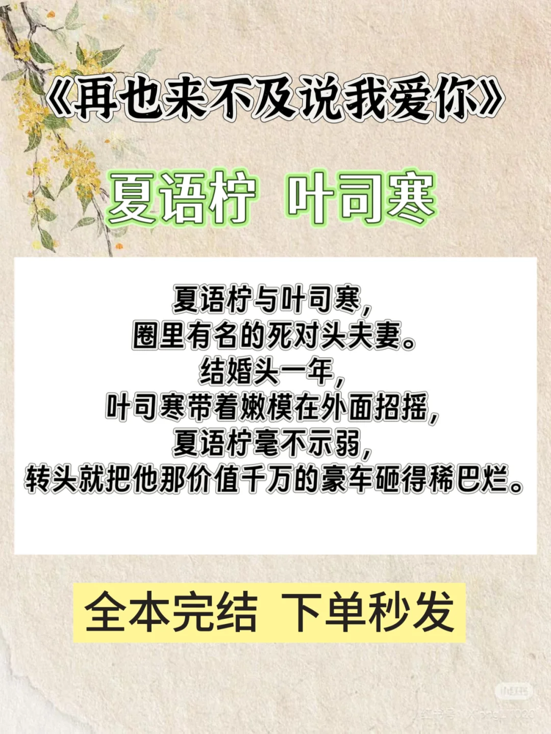完结《再见来不及说我爱你》夏语柠 叶司寒