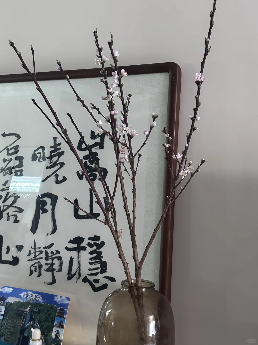 39岁啦｜最后一个三字头生日🎂