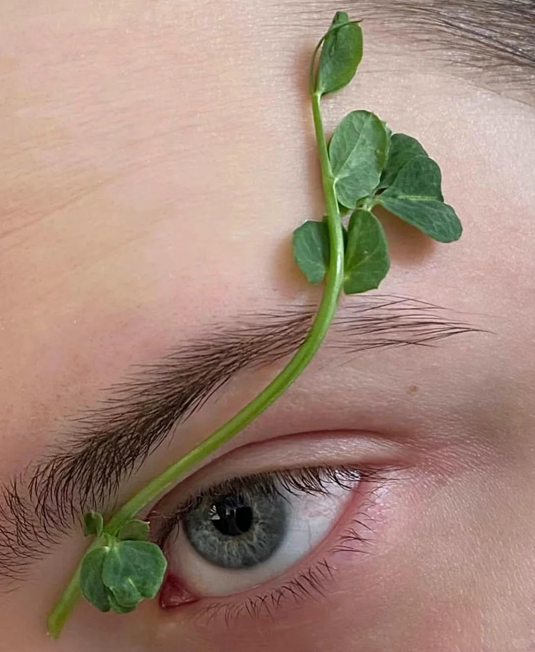 我们经常忘记我们是自然🌿