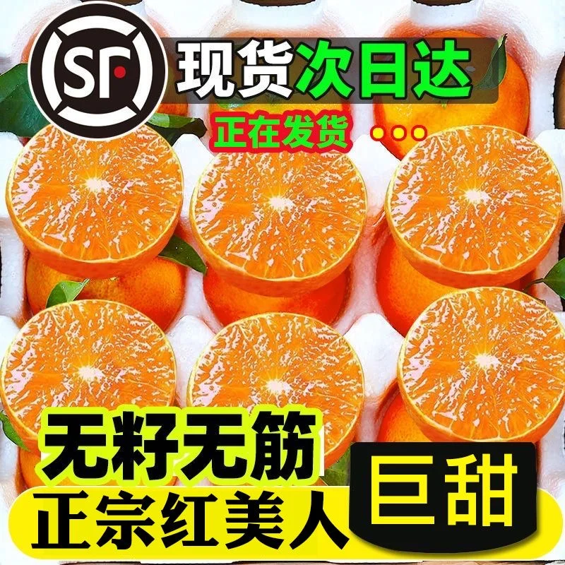 一口就惊艳！象山红美人柑橘绝了