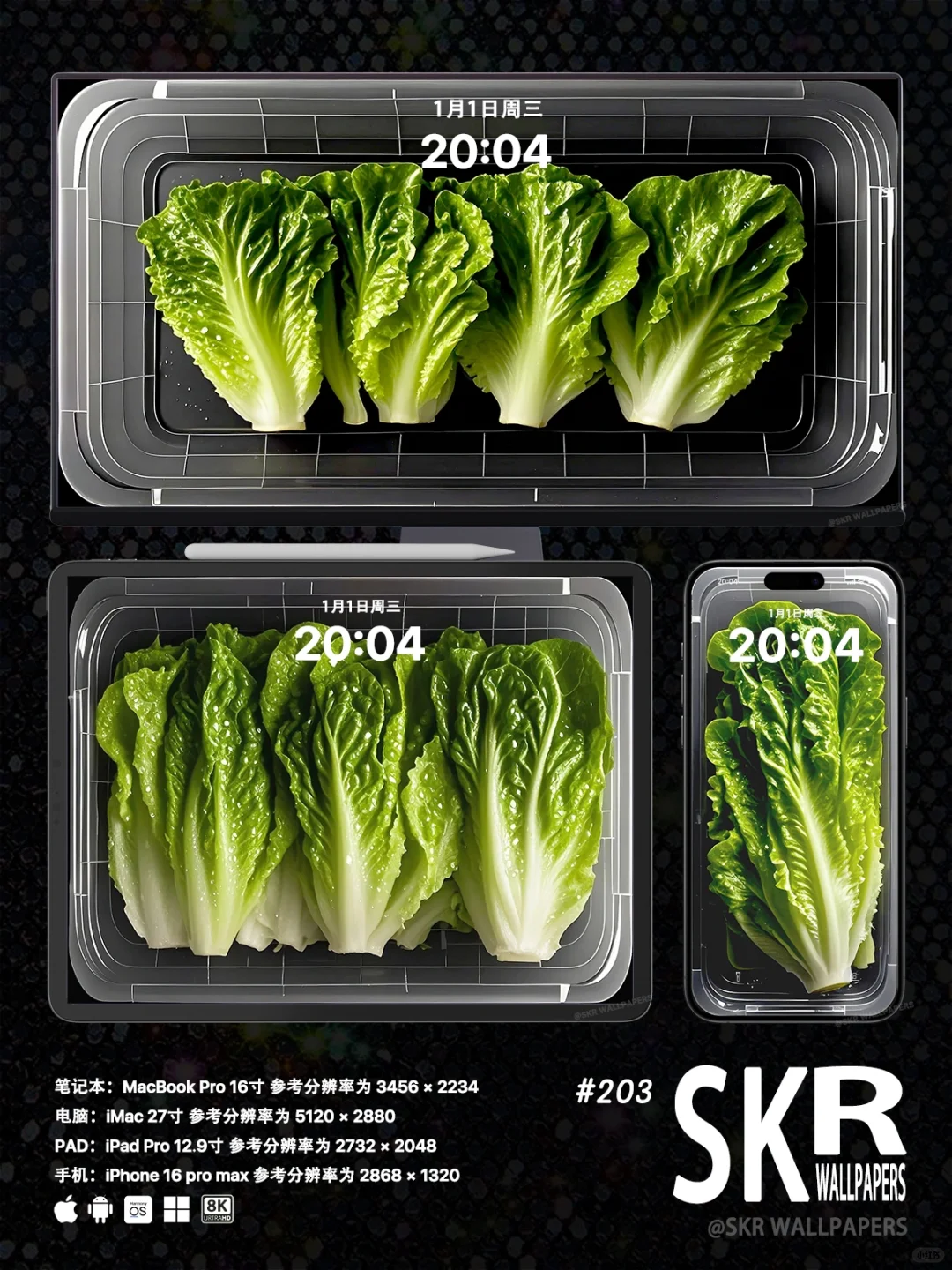 有机生菜 | 多吃绿色蔬菜iPad壁纸 | 205