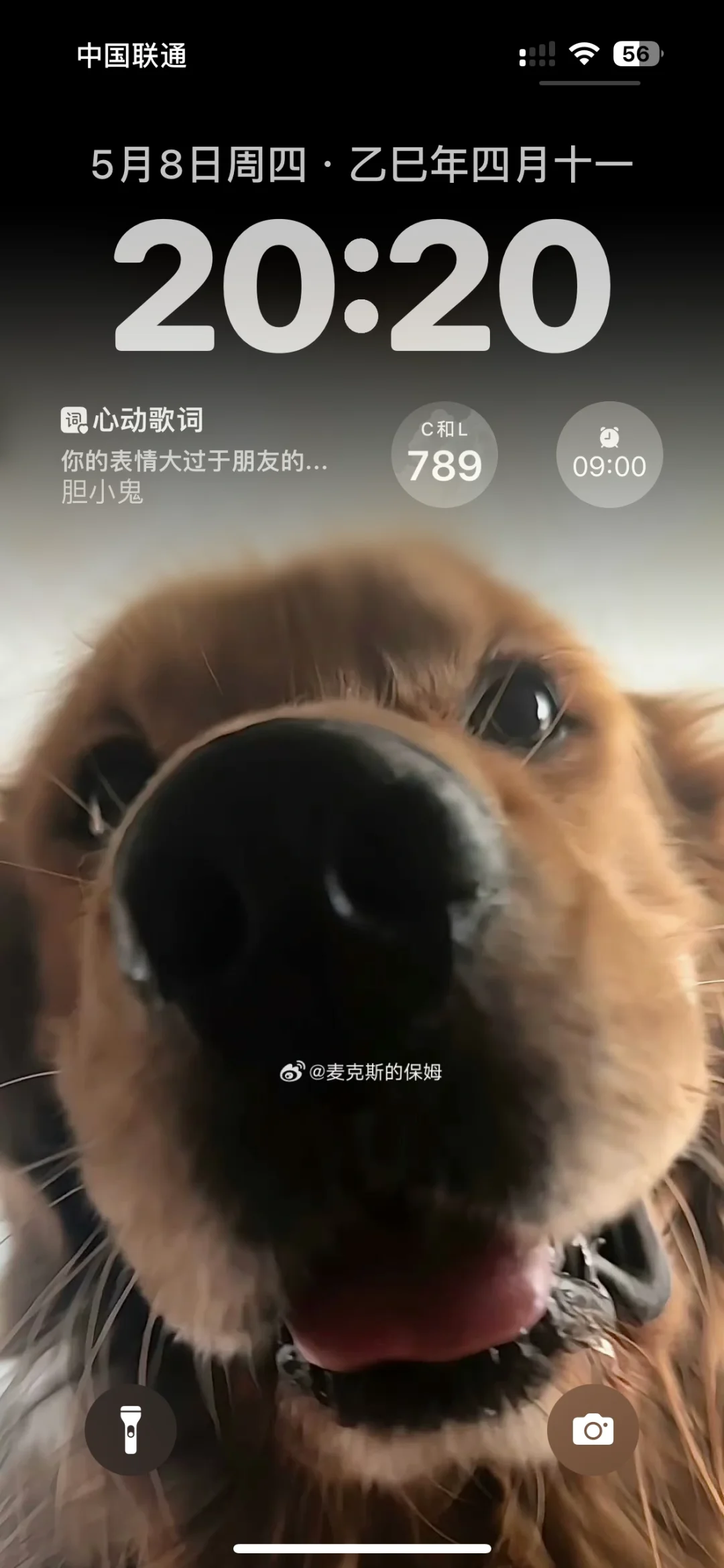 ipad横竖屏壁纸来回切换也太高级了吧！！