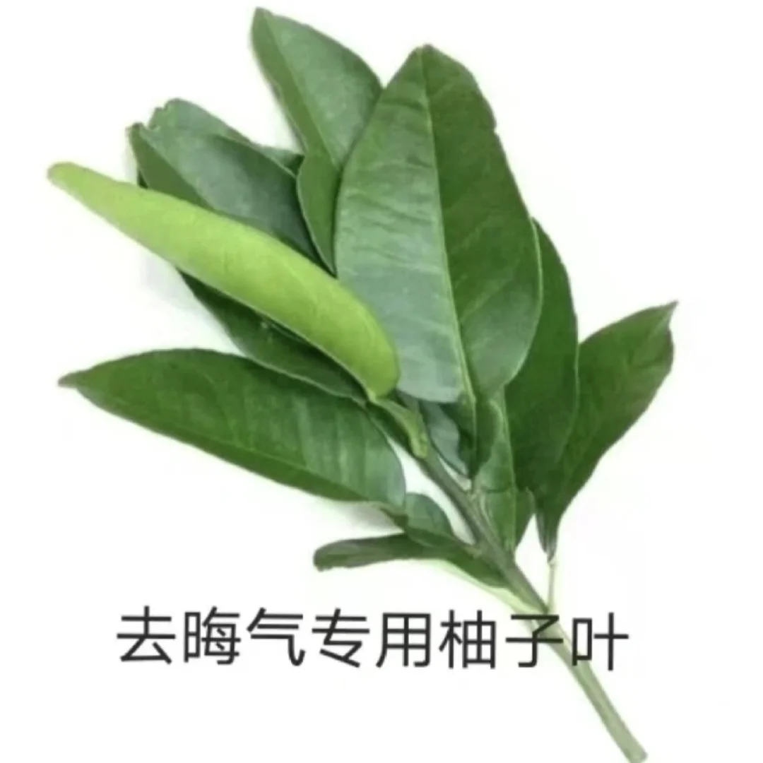 吐槽一个女同事