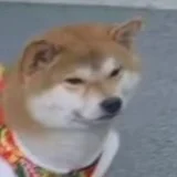 婆婆让我不要再发这个表情包