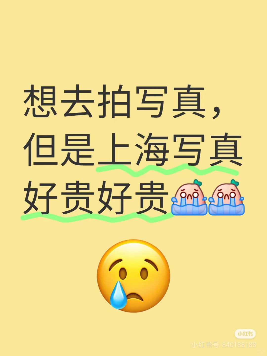 求写真推荐