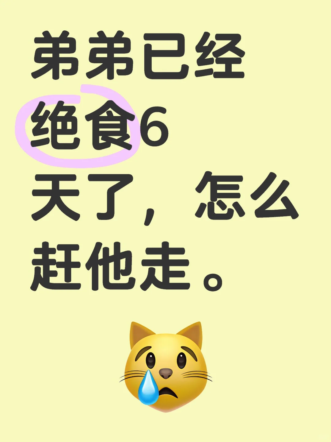 弟弟已经绝食6天了，怎么赶他走。