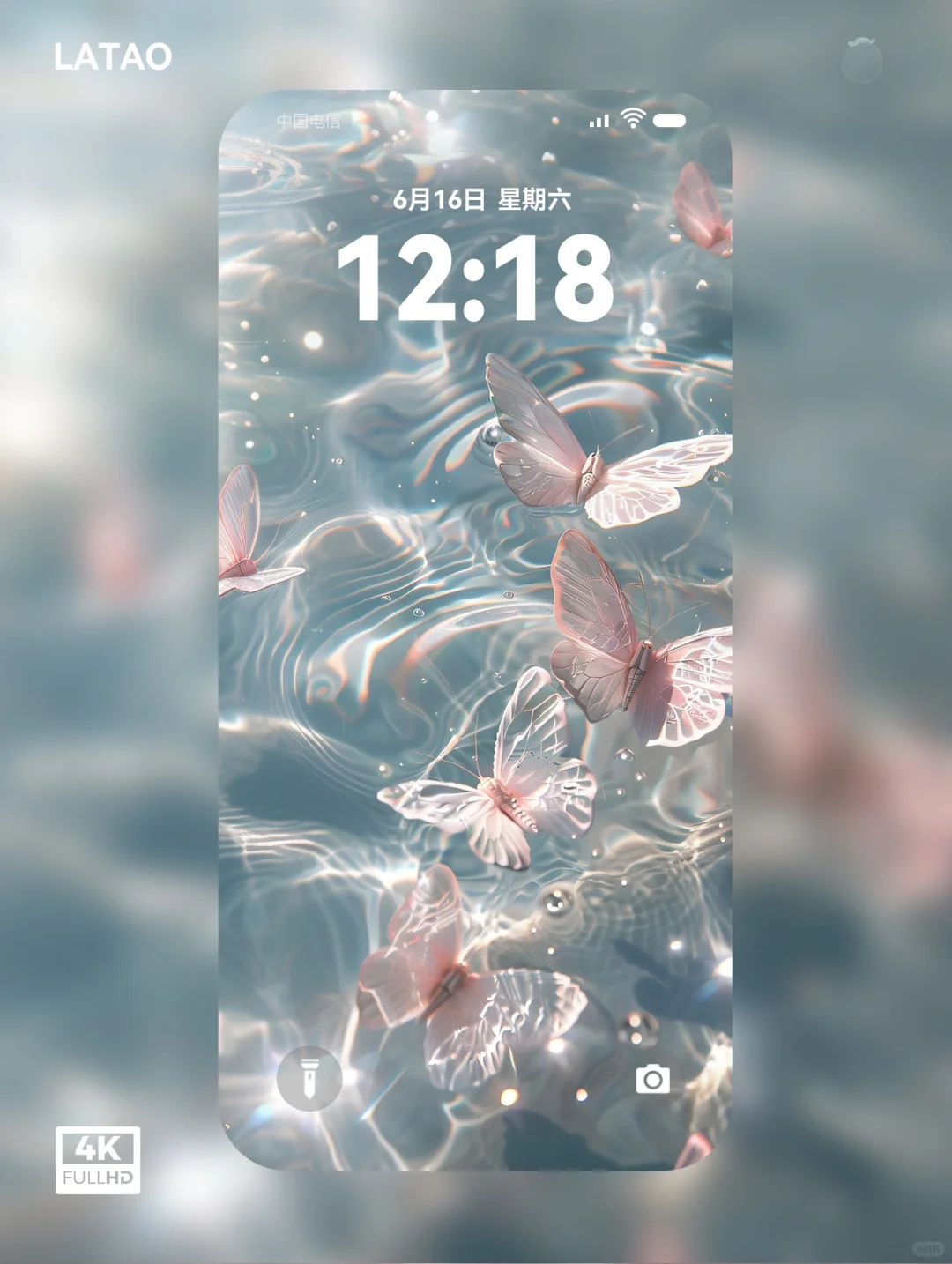 浅灰绿🦋蝴蝶｜高清平板iPad壁纸