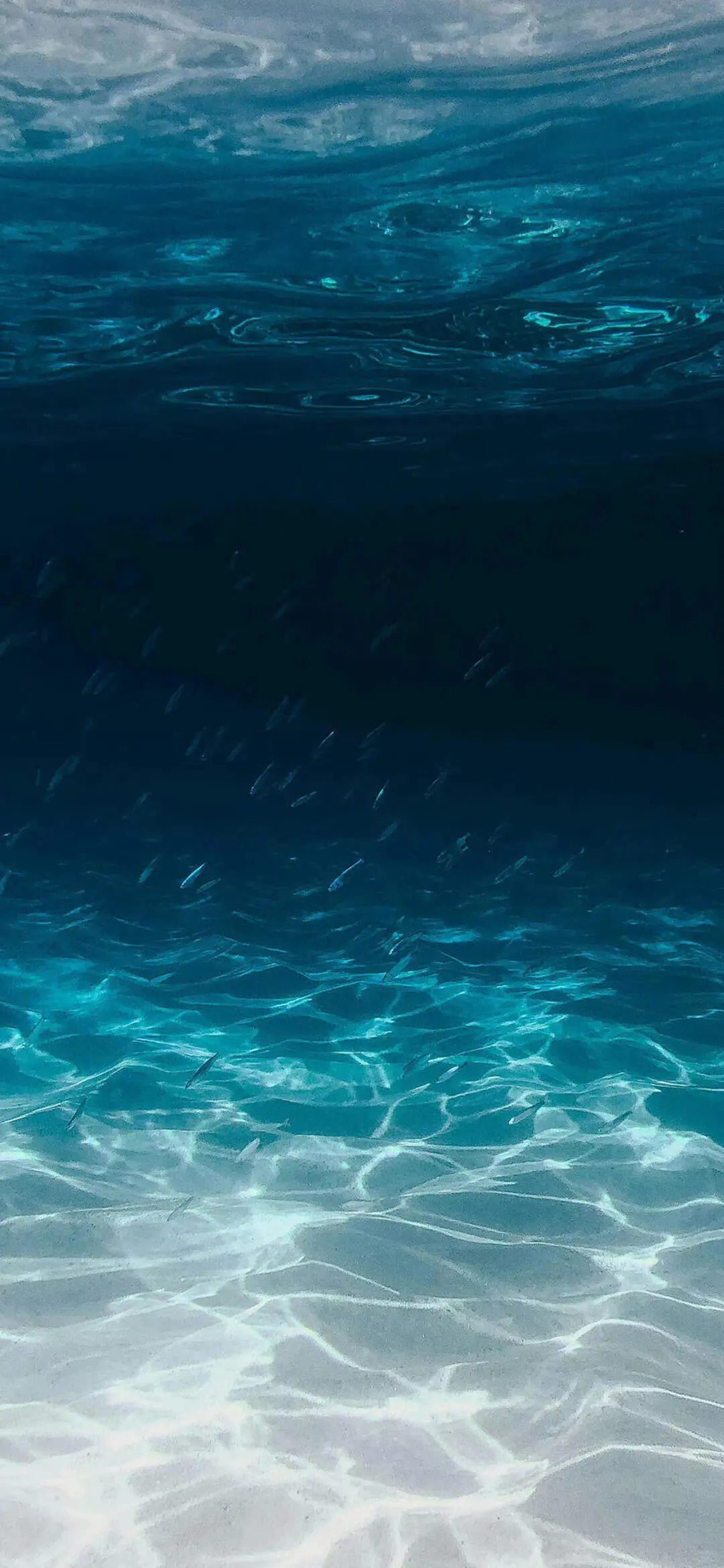 一组超级干净的海洋系壁纸｜wallpaper
