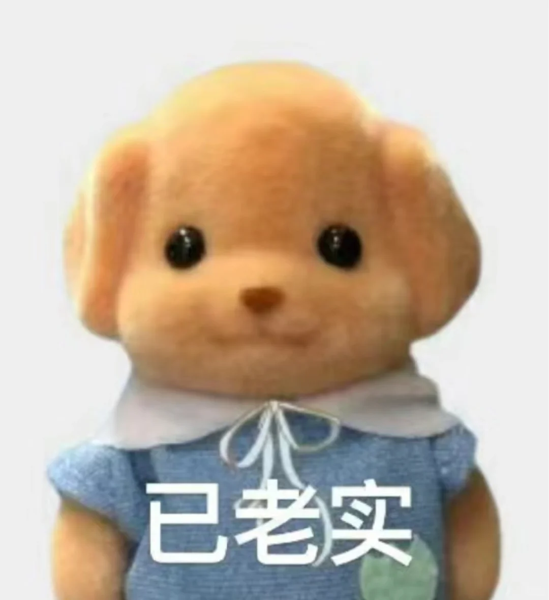 【无】出30r两只森贝尔福袋