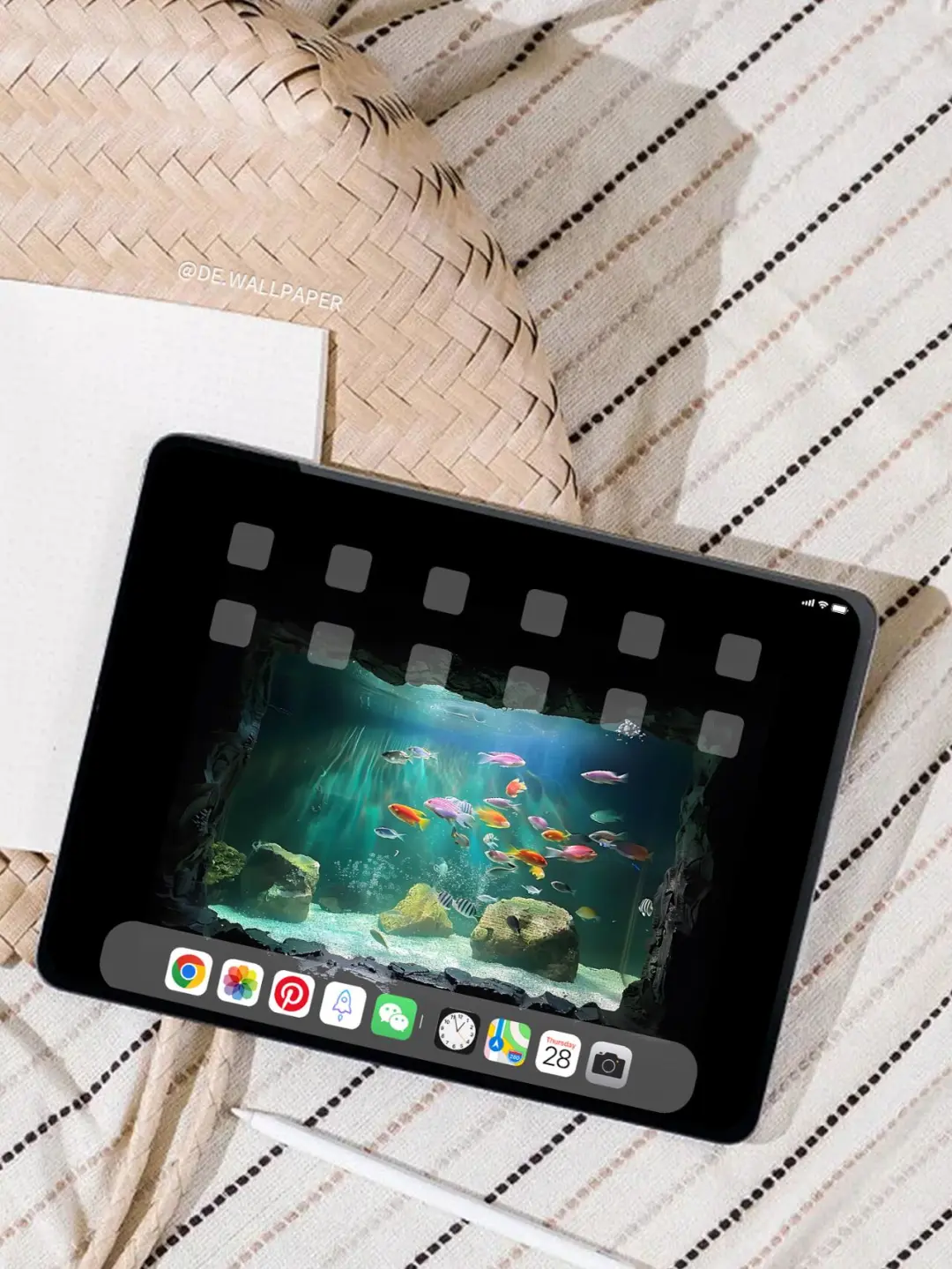 ipad壁纸｜海底意境｜INS风氛围感壁纸||-----