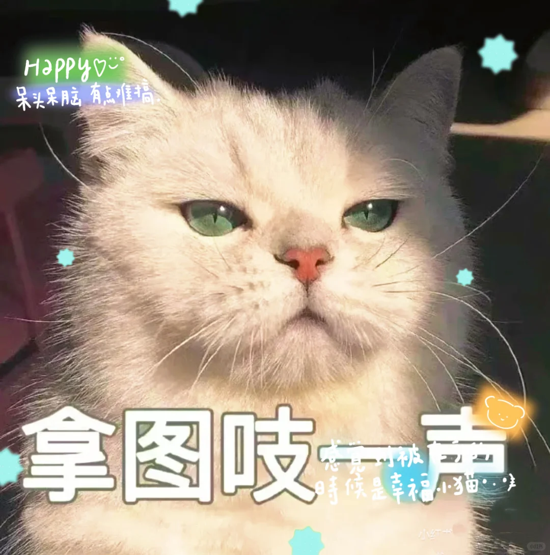 𝙒𝙚𝘾𝙝𝙖𝙩头像 | 旺自己的头像