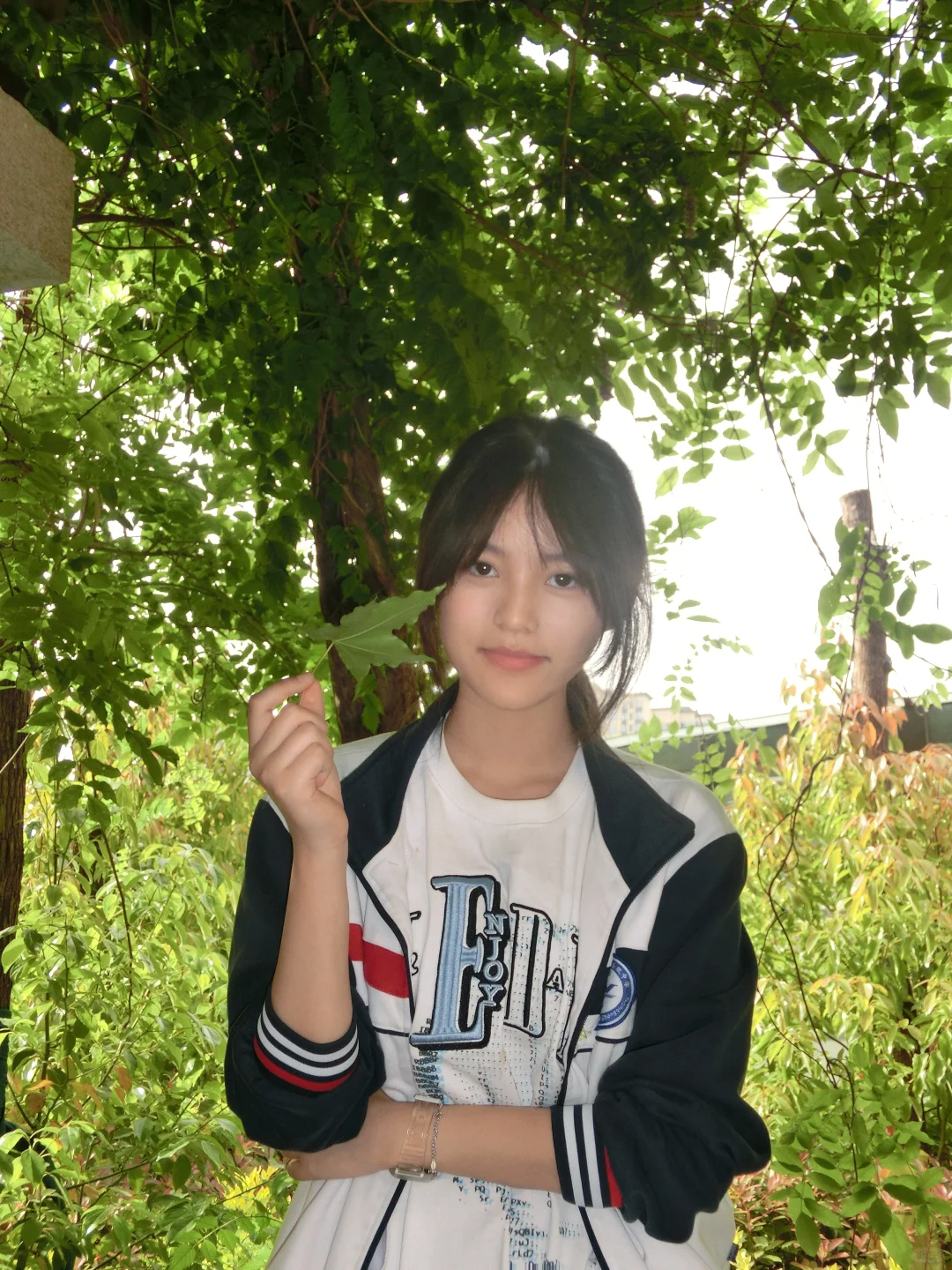 春天 绿叶 校园!!🌳🌳🍀