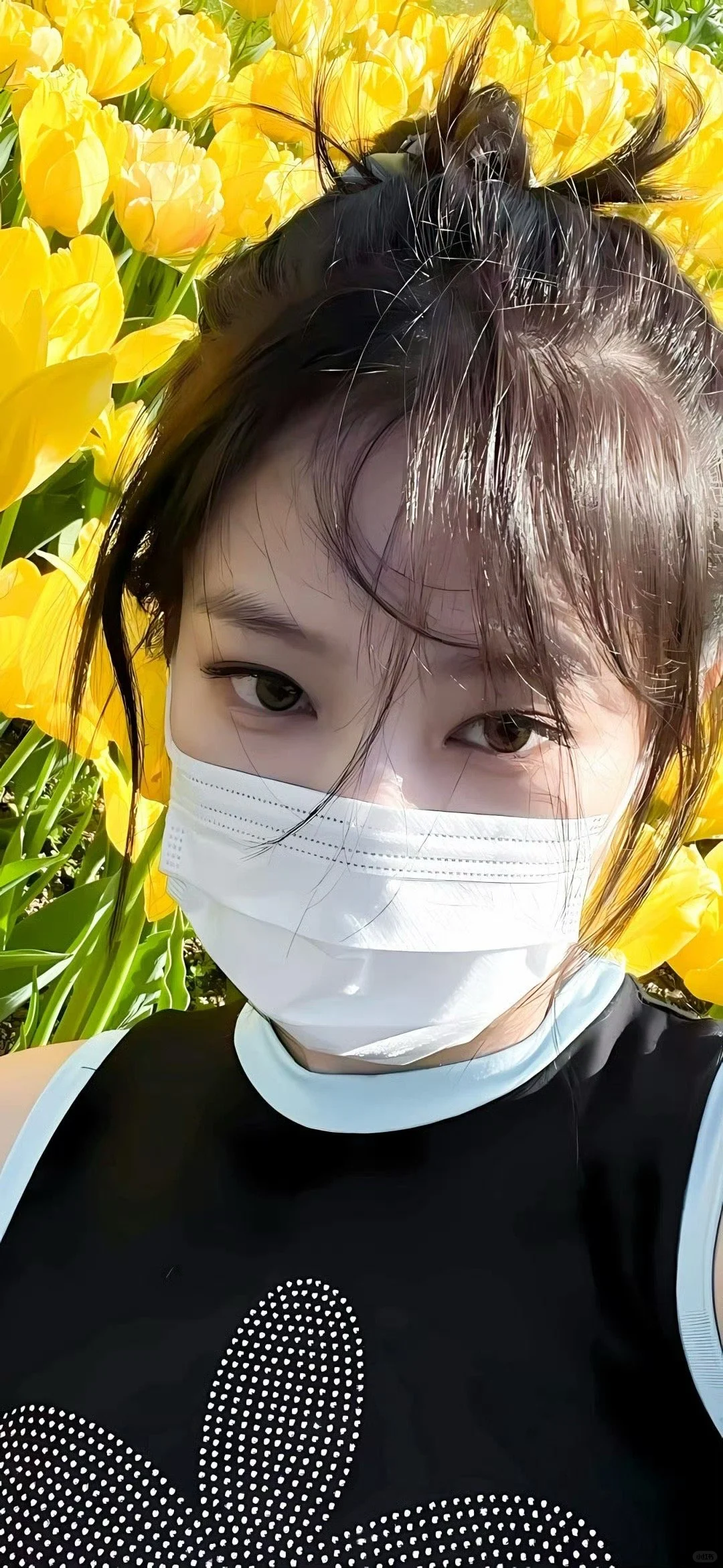 jennie壁纸