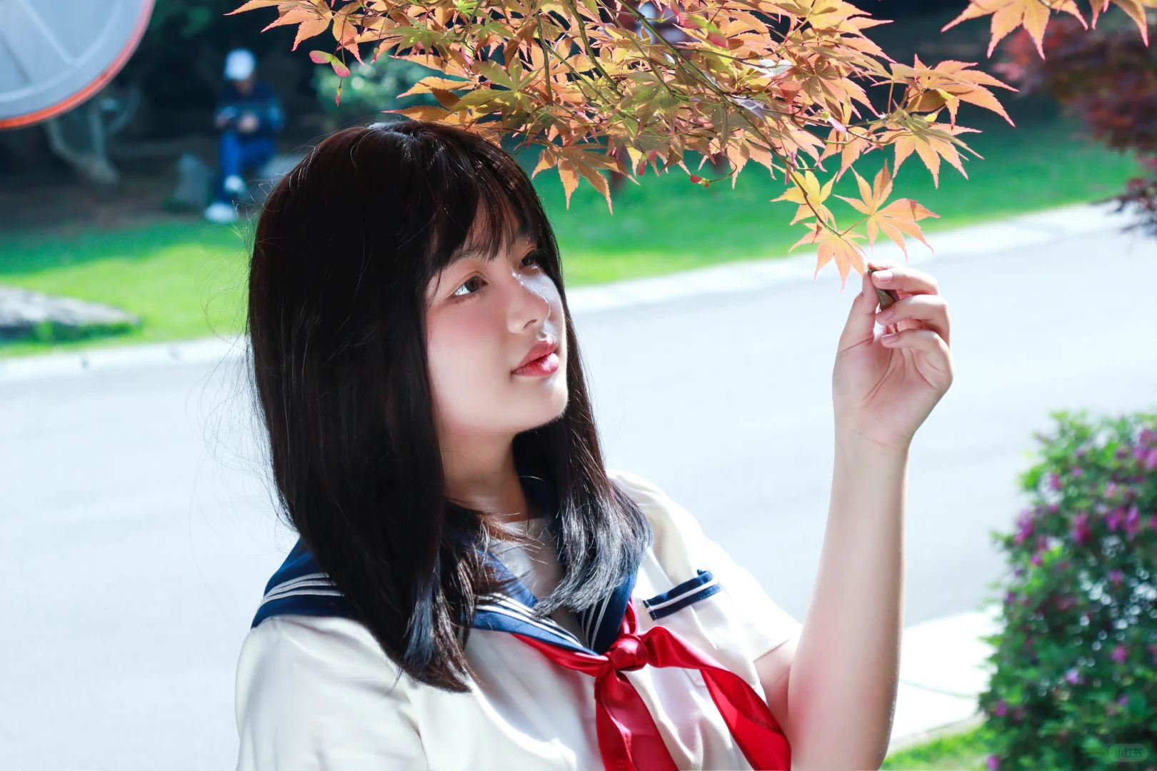 警告!发现野生制服少女