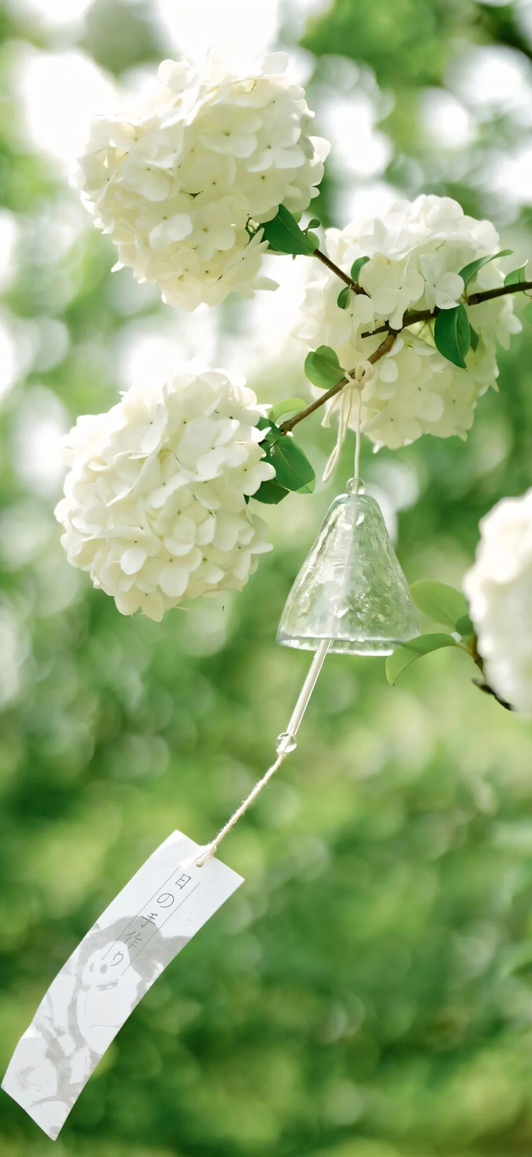 想看海听海、看花闻花🌸｜唯美壁纸