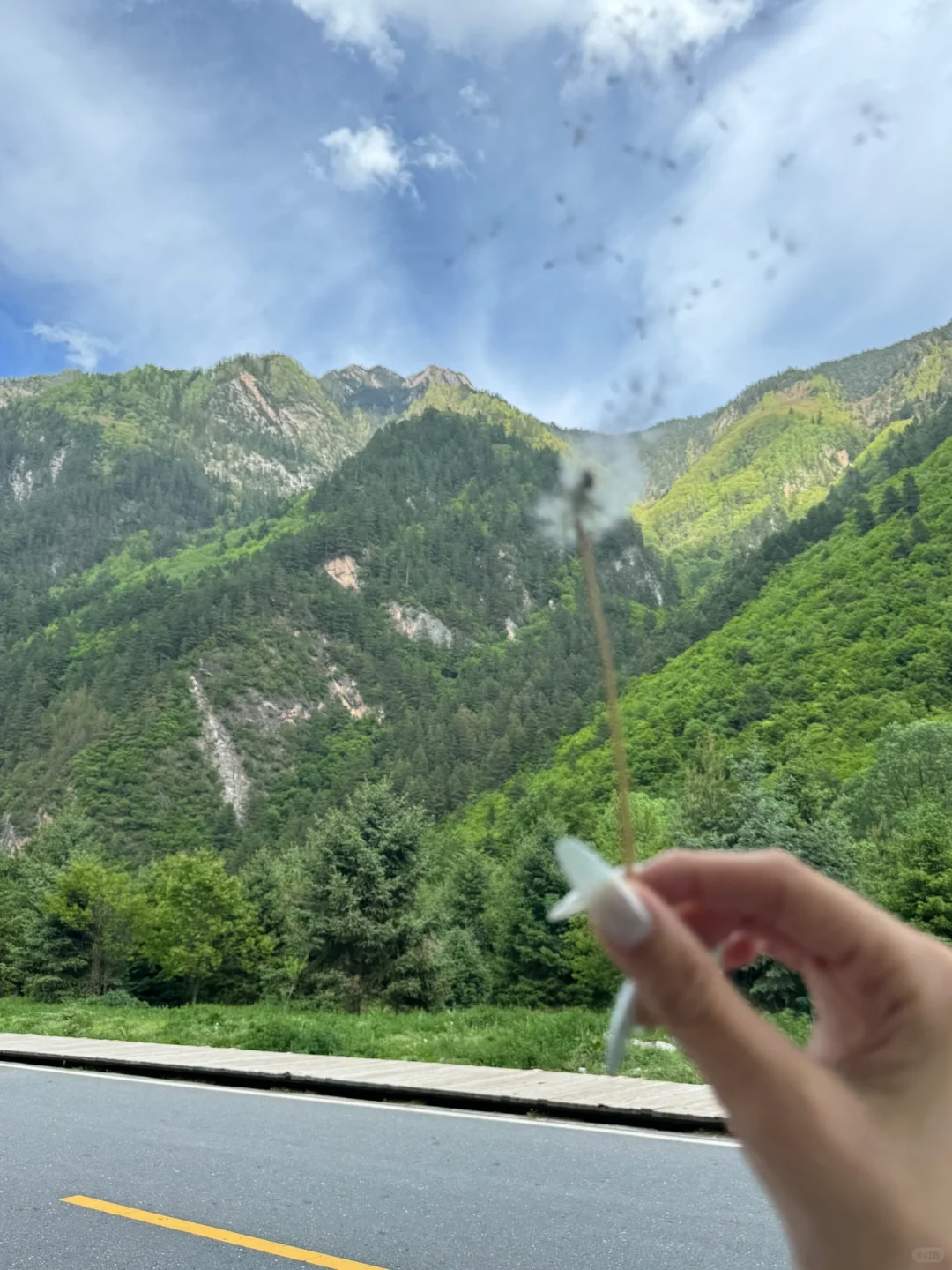 在九寨沟拍到了人生照片！！