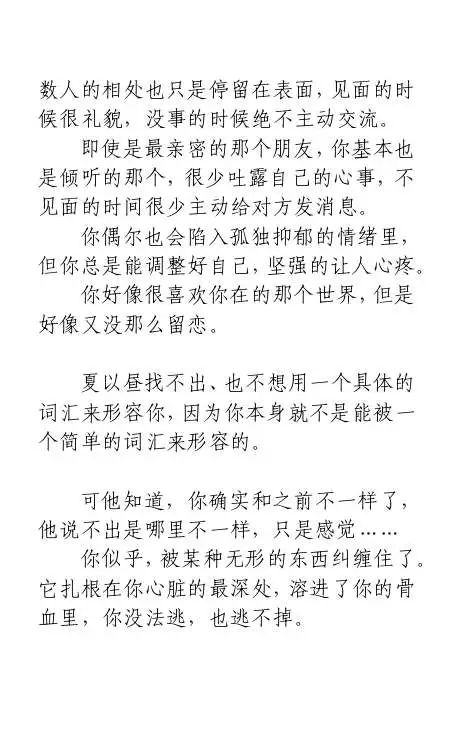 番外③·关于夏以昼的一切·上