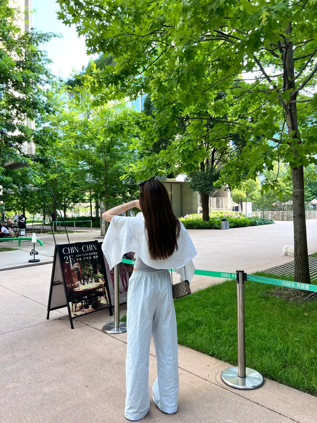 live绿树成荫🌳🧃💭🐰