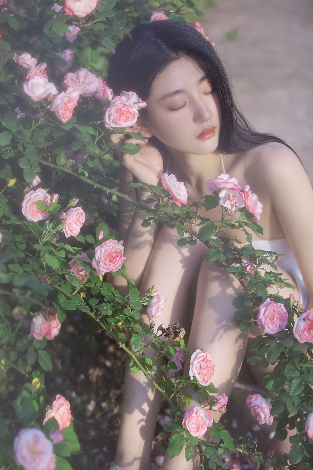 精灵🧚🏻‍♀️与花儿的对白