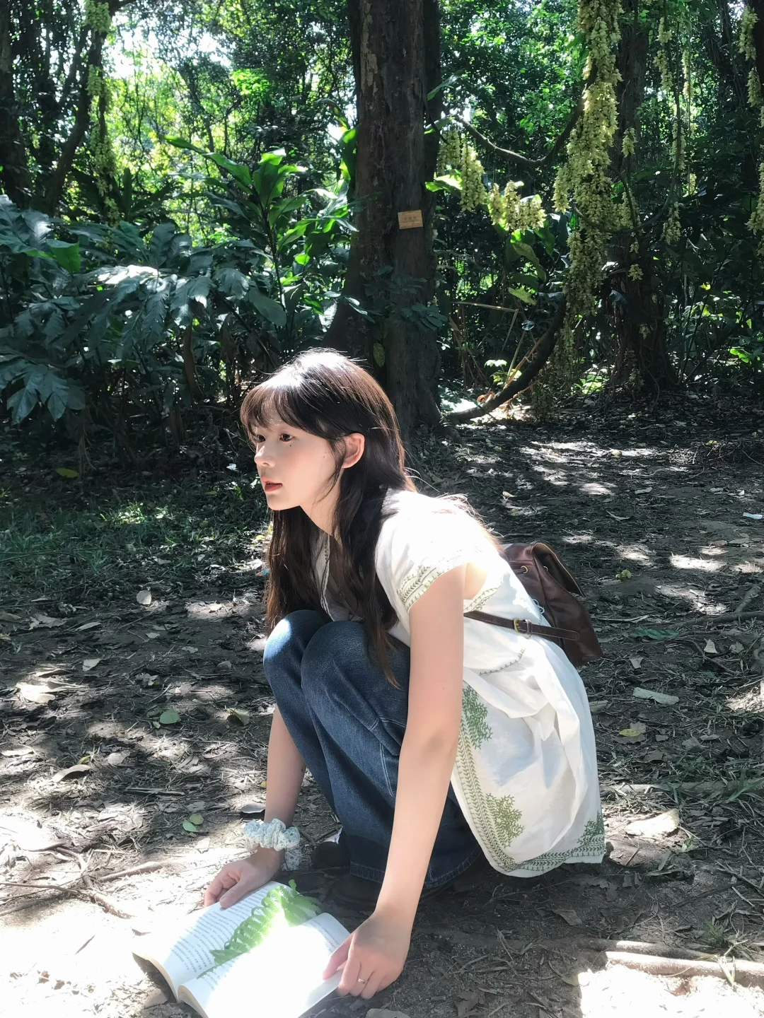 𝑔𝑟𝑒𝑒𝑛 𝑙𝑖𝑔ℎ𝑡 .☘︎ ˖