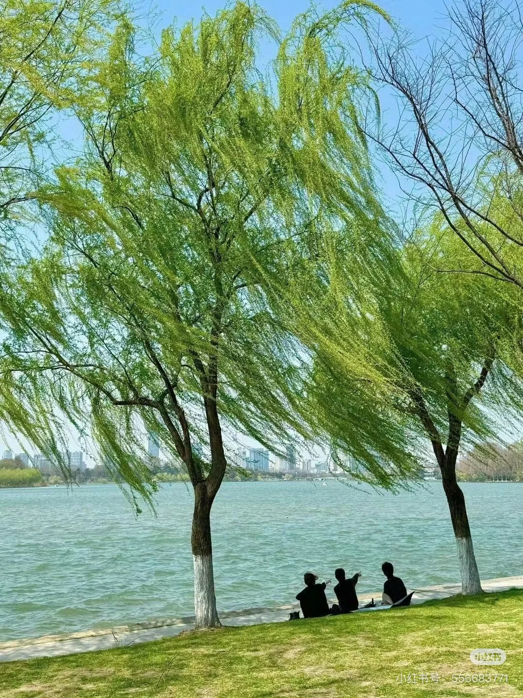 “松弛感日常，这样发，朋友圈会被赞爆” “松弛