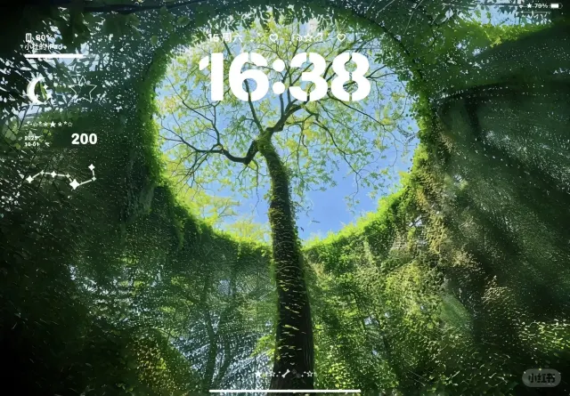 我发现了绿林里的一个秘密👀
