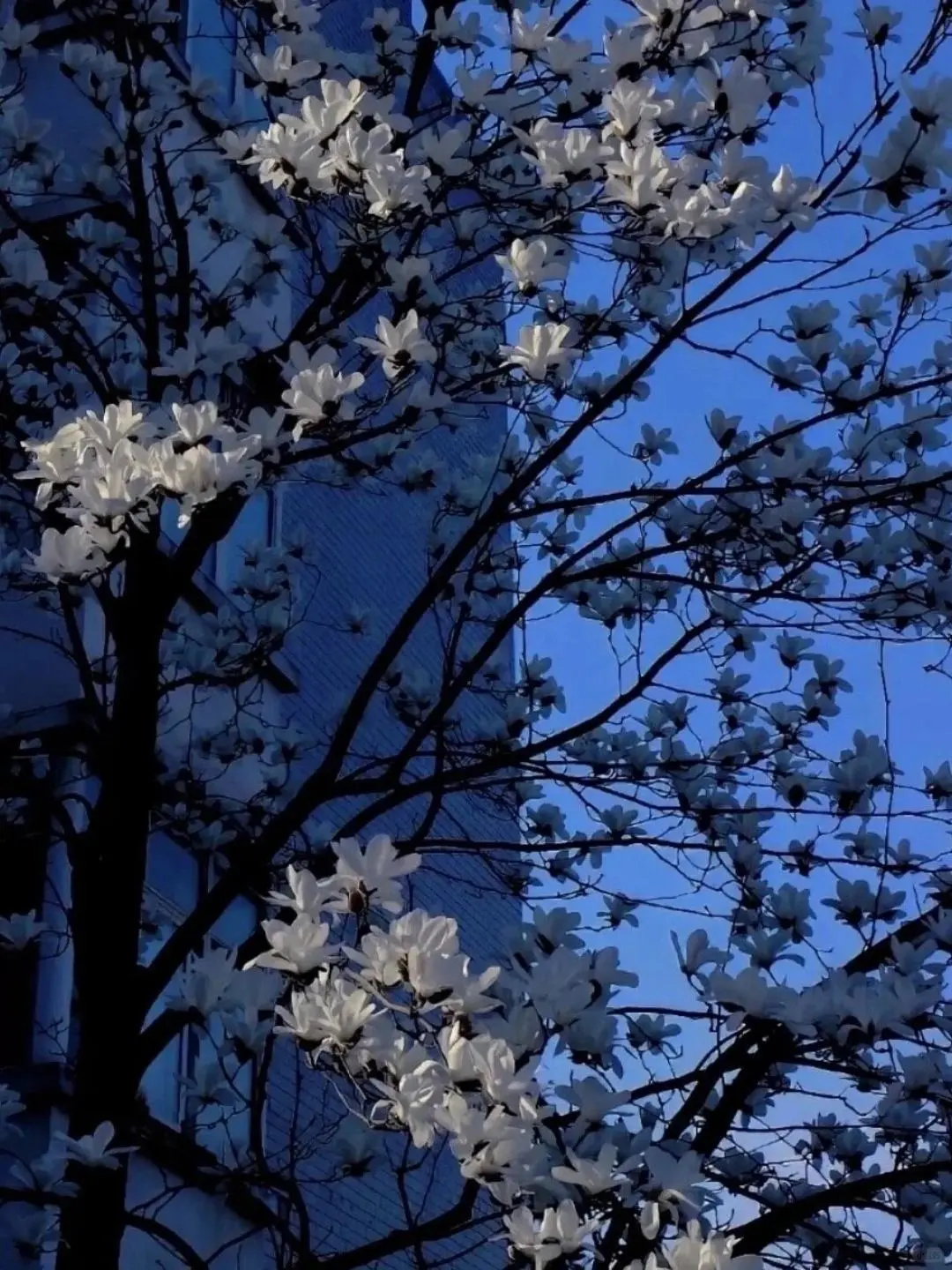 氛围感背景图