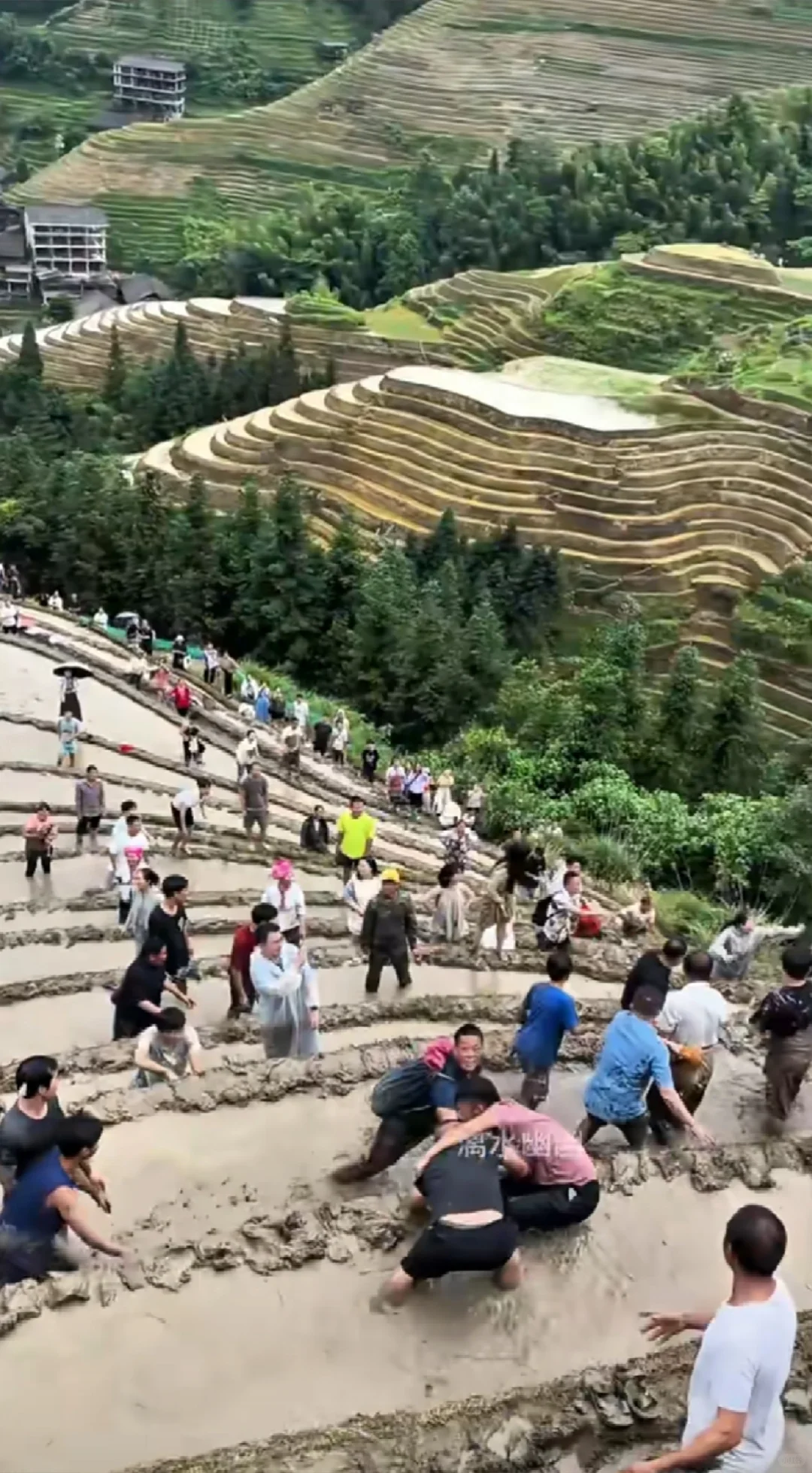 此景难遇