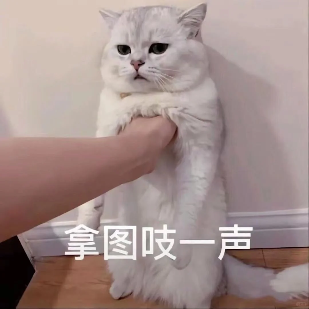 自己最近喜欢的聊天背景~