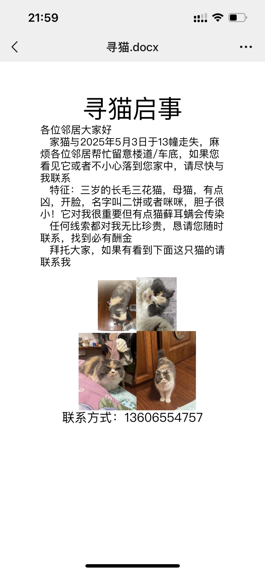 鹤童大人保佑猫猫回家