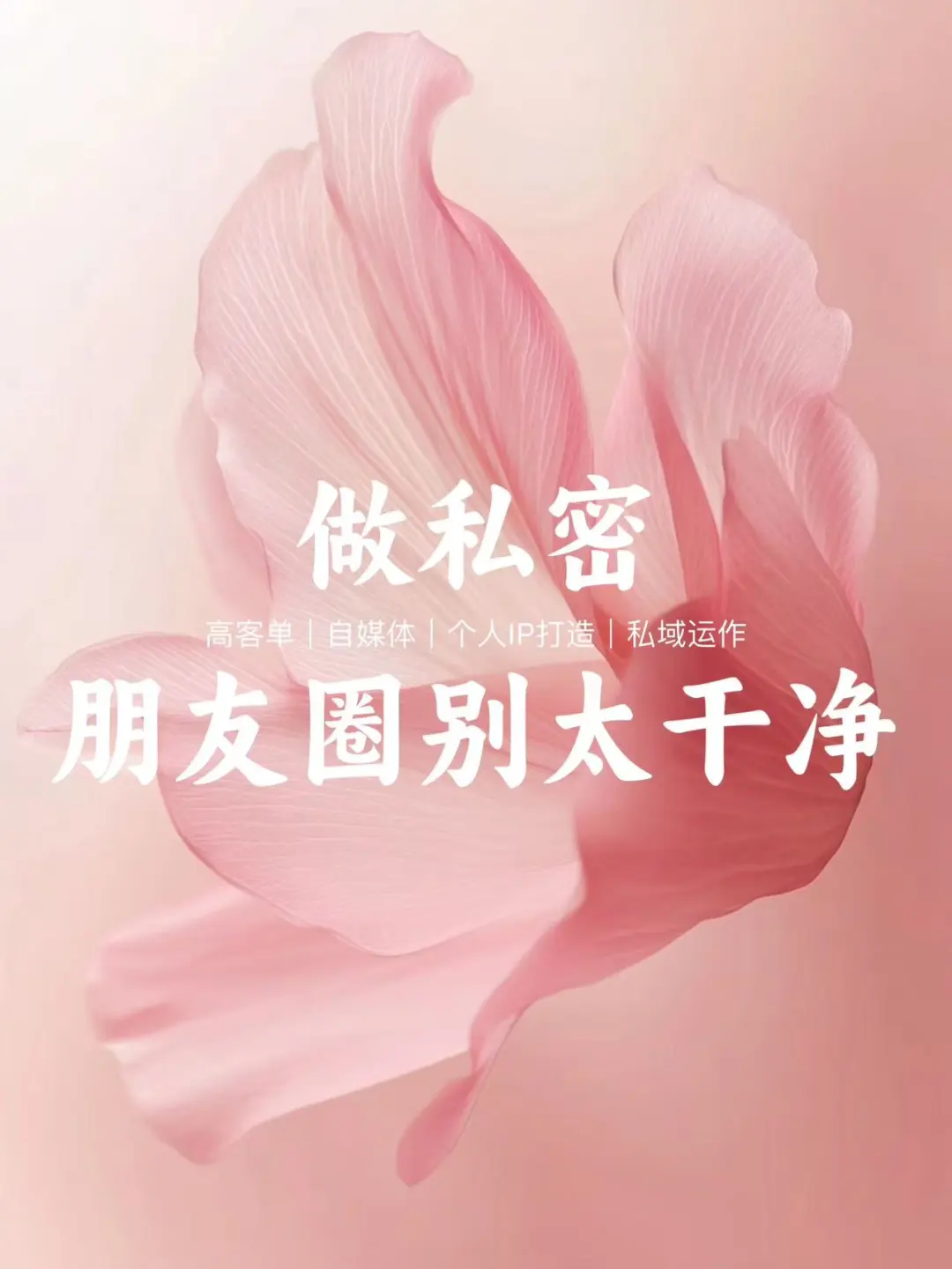 私密朋友圈太干净，不聚人心，更不聚财|||