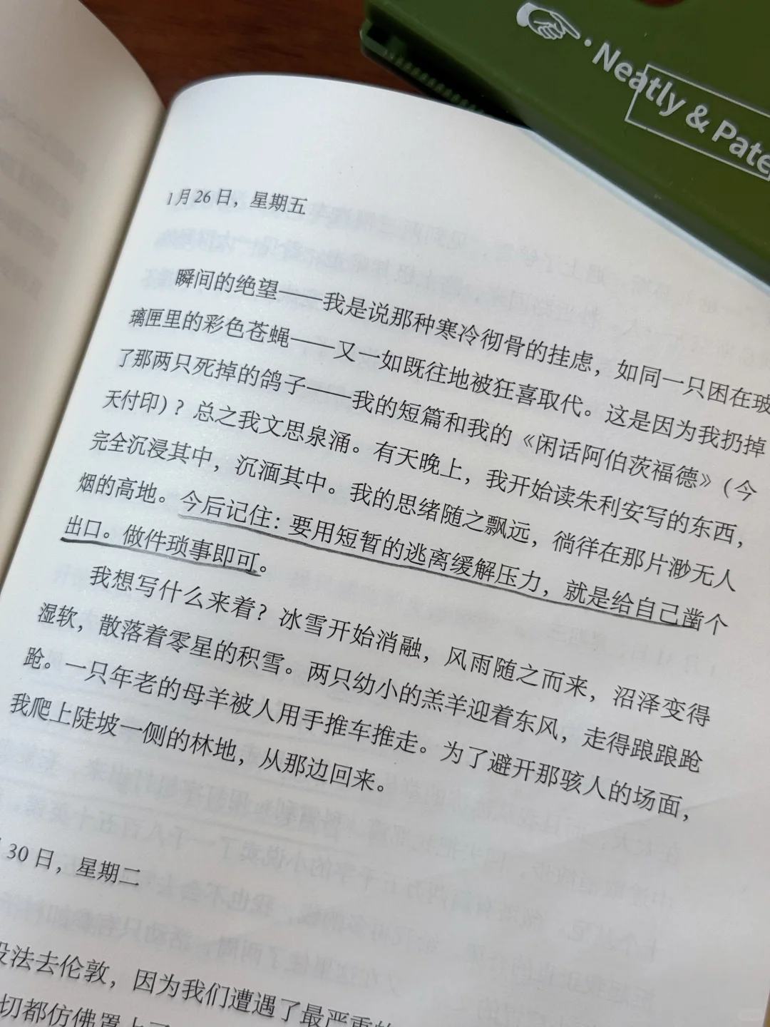 我把思想给了这本书