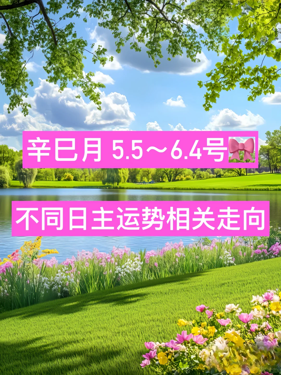 为大家整理了本月不同日元的运势走向🌟🪻