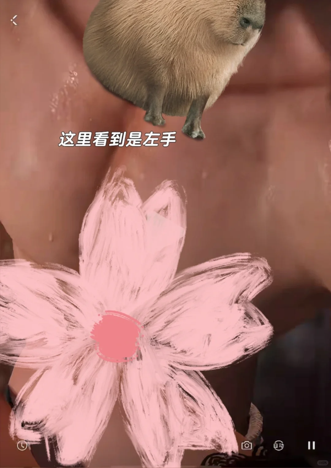 彻子失落绿洲具体姿势分析
