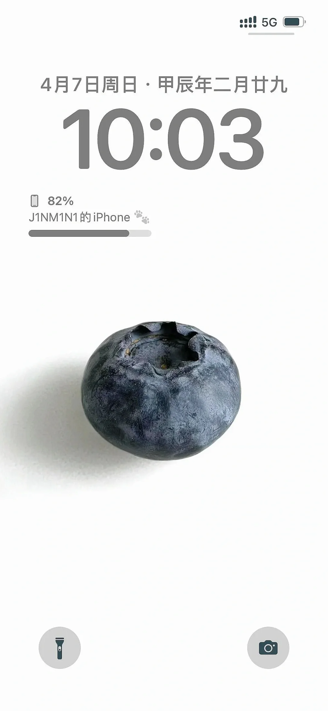 一颗蓝莓🫐